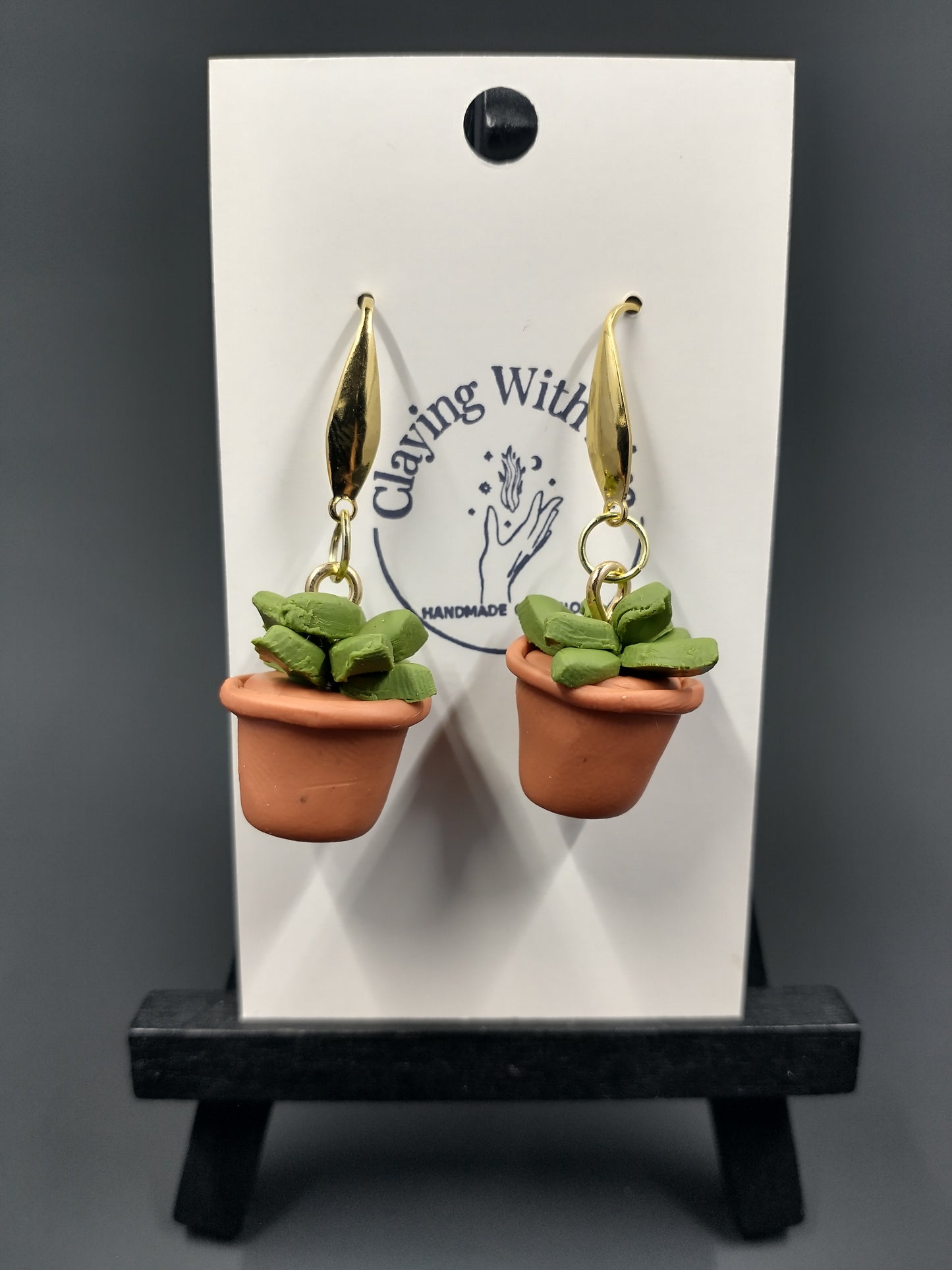 Succulent Collection | Terra Cotta Pots