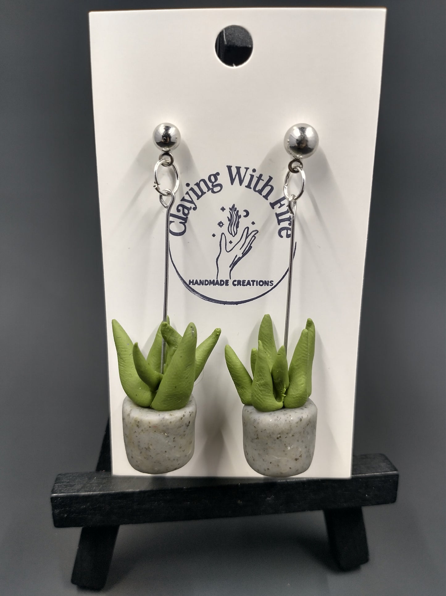 Succulent Collection | Aloe Pots
