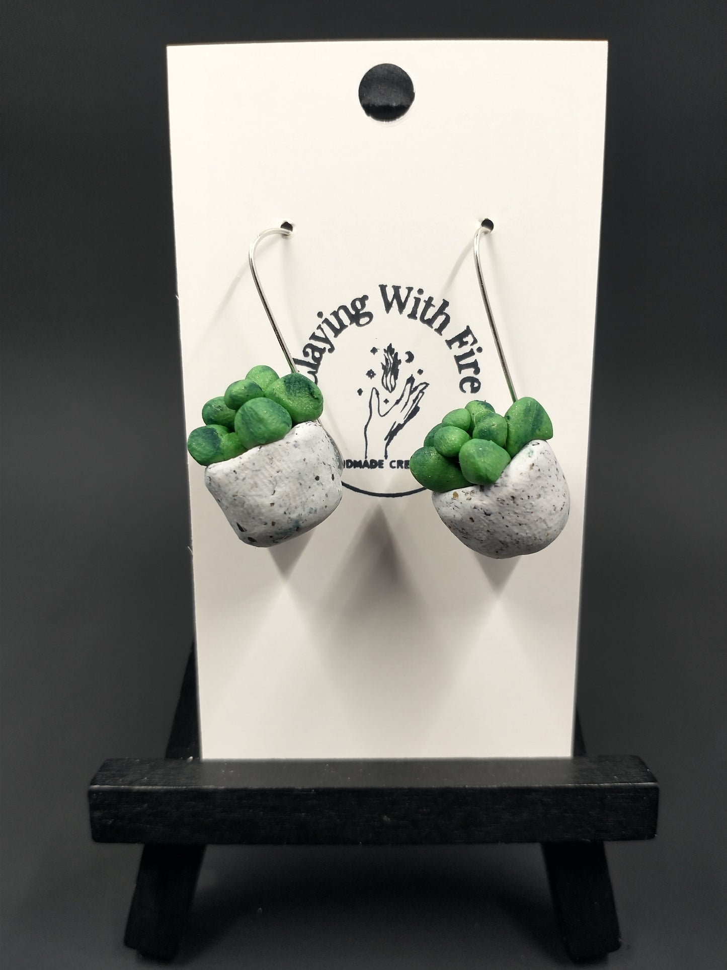 Succulent Collection | Granite Pots | Large