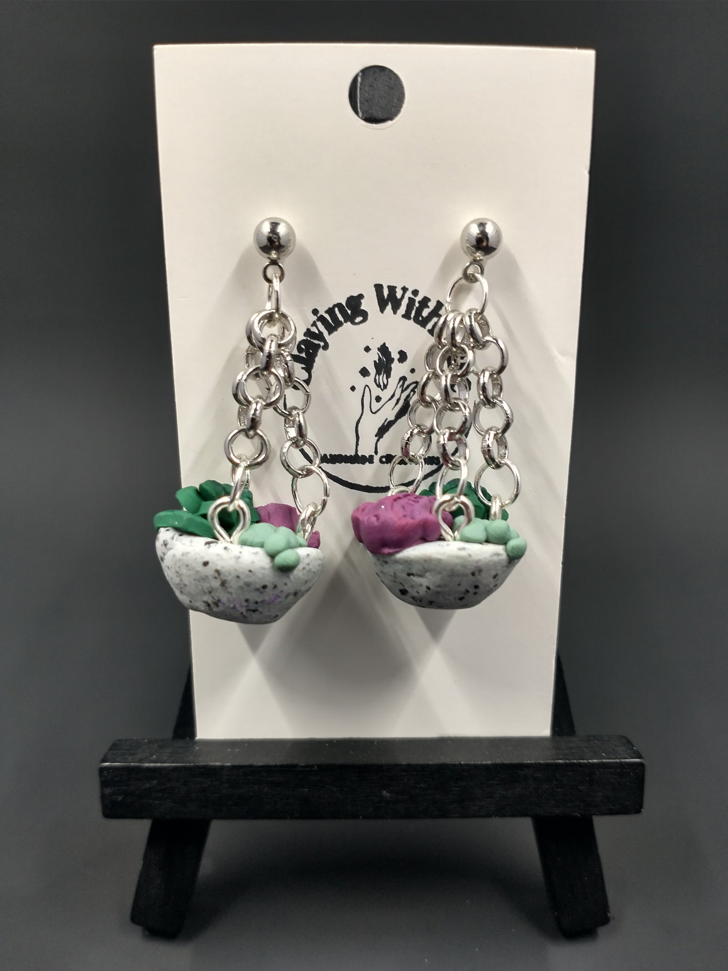 Succulent Collection | Hanging Pots