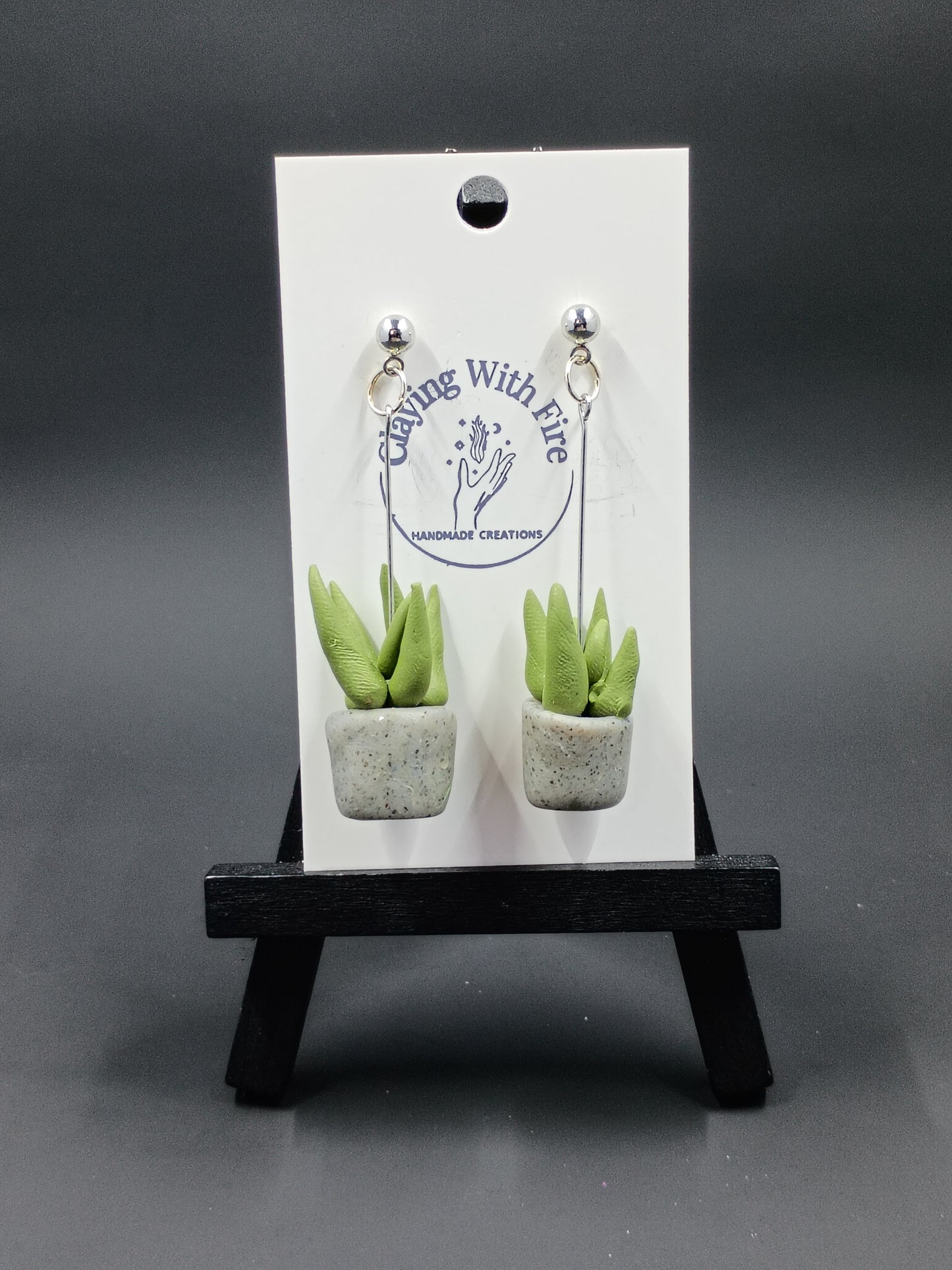 Succulent Collection | Long Granite Pots