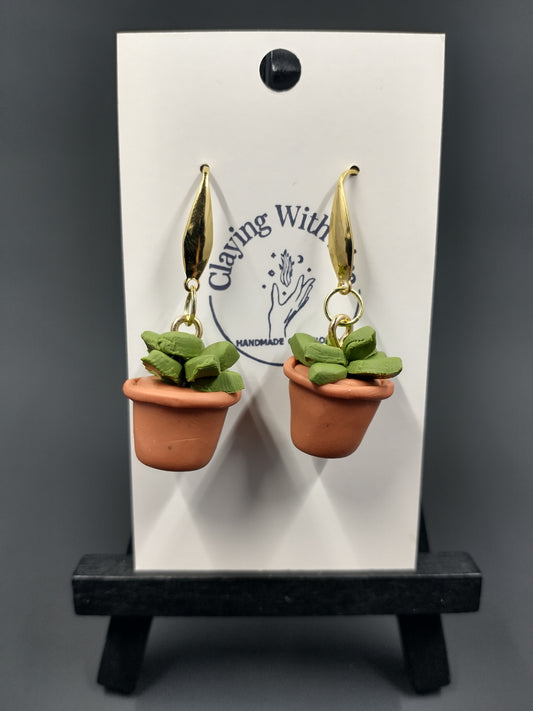 Succulent Collection | Terra Cotta Pots