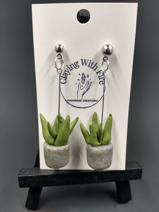 Succulent Collection | Aloe Pots