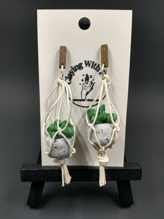 Succulent Collection | Macramé | Ivory