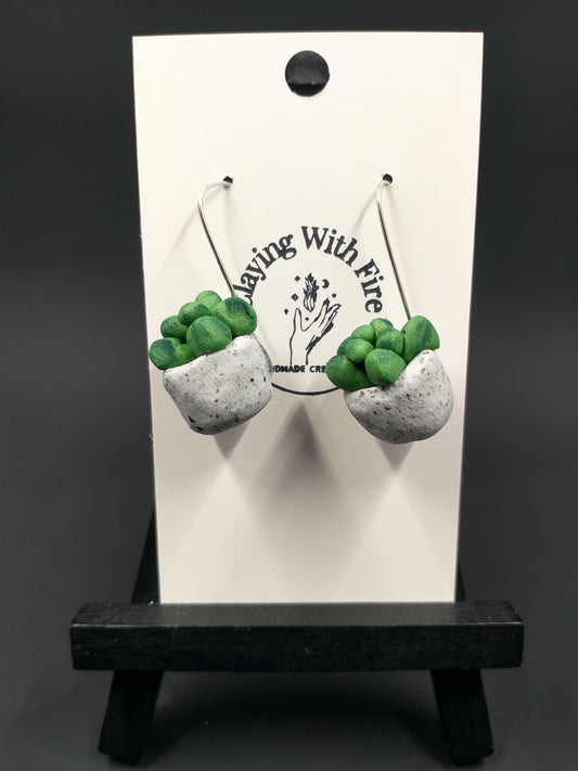 Succulent Collection | Granite Pots | Large