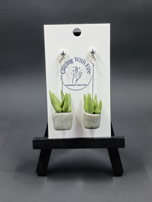 Succulent Collection | Long Granite Pots