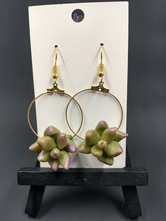 Succulent Collection | Hoops
