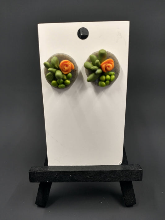 Succulent Collection | Multi Stud