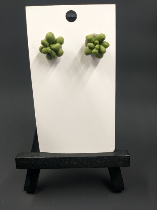 Succulent Collection | Green studs
